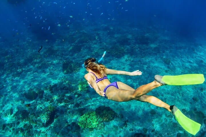 Snorkel the Cancun Reef: 4-Spot Adventure to MUSA, Shipwrecks & Turtles photo 2