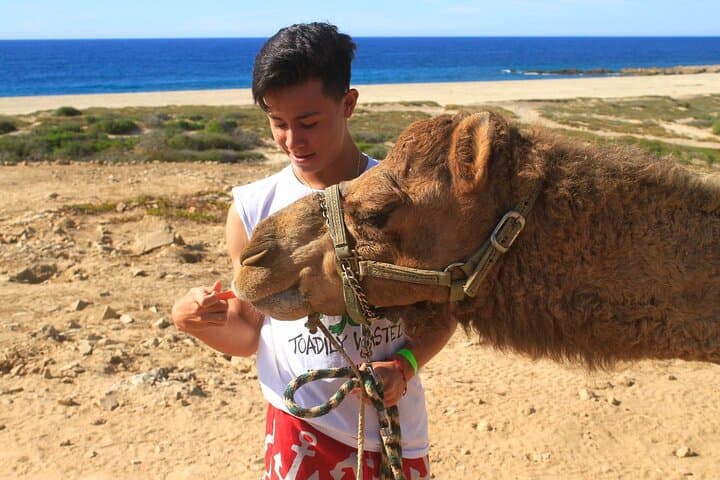 Camel Ride Along the Pacific: Desert Encounter & Tequila Tasting in Los Cabos photo 4