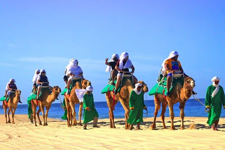 Camel Ride Along the Pacific: Desert Encounter & Tequila Tasting in Los Cabos photo 5