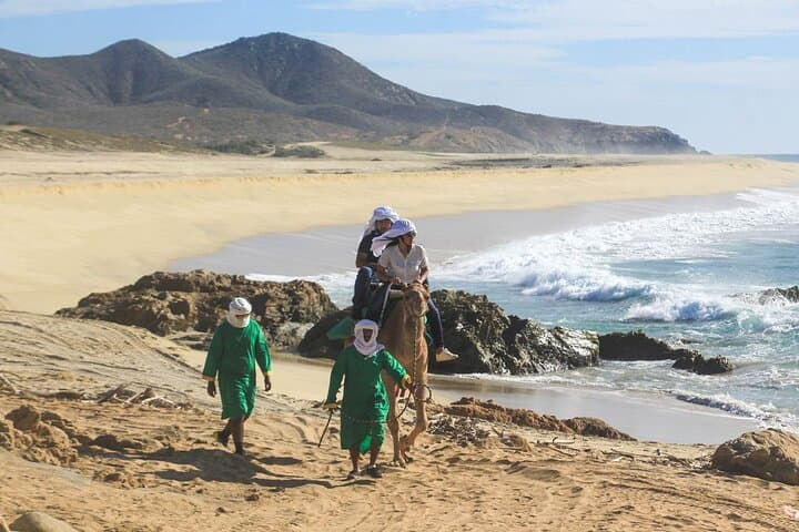Camel Ride Along the Pacific: Desert Encounter & Tequila Tasting in Los Cabos photo 6