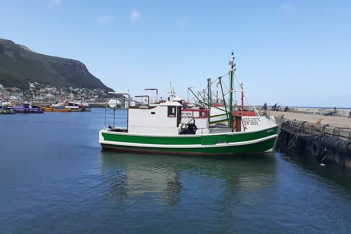 Private Cape Point Peninsula Tour — Full-Day Cape Town Peninsula Highlights photo 2