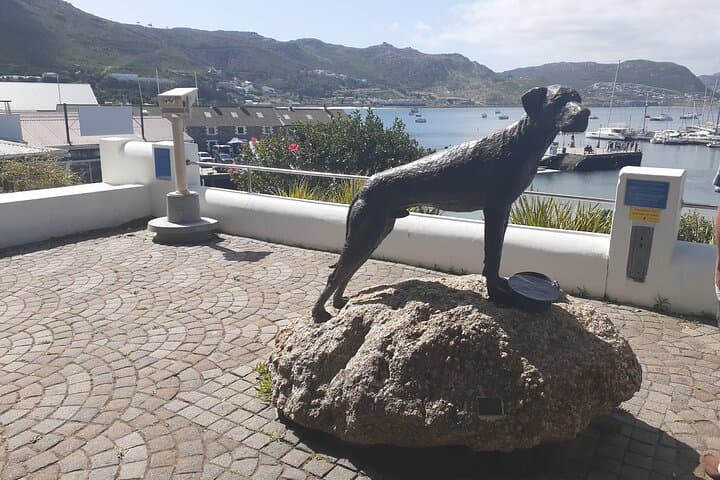 Private Cape Point Peninsula Tour — Full-Day Cape Town Peninsula Highlights photo 3