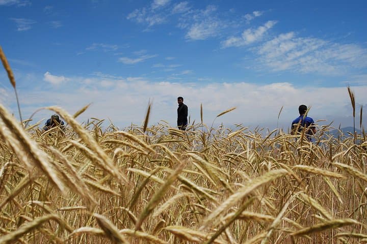 Timinkar Plateau: Private Day Tour to 13 Atlas Villages from Marrakech photo 4