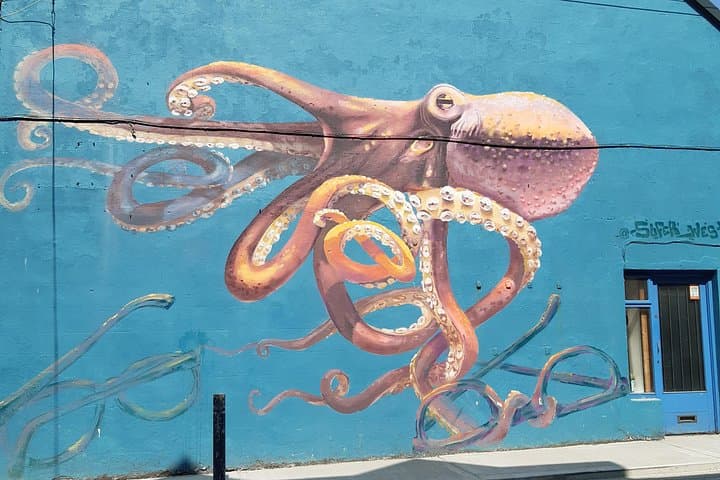 Galway's Wonderful Walls: A 90-Minute Street Art Walking Tour photo 4
