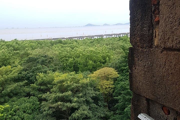Panama Viejo to Casco Viejo: Walking the Pearl of the Pacific photo 2