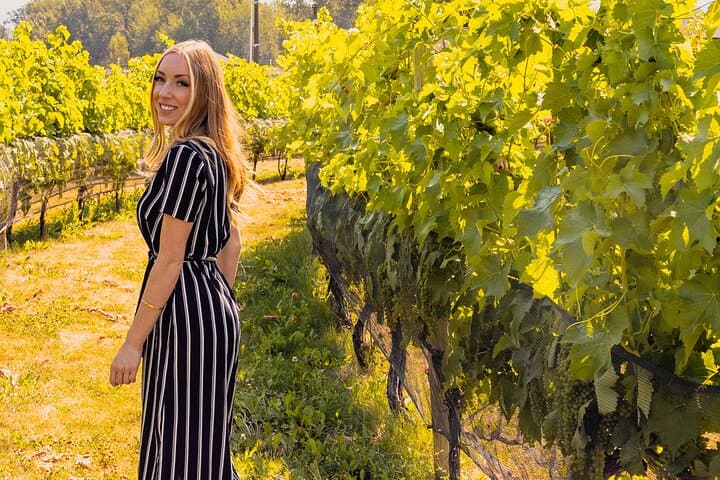 Osoyoos Half-Day Wine Tour: Top Vineyard Tastings, Transport & Local Insights photo 4