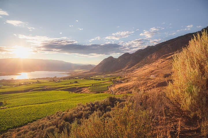 Osoyoos Half-Day Wine Tour: Top Vineyard Tastings, Transport & Local Insights photo 2