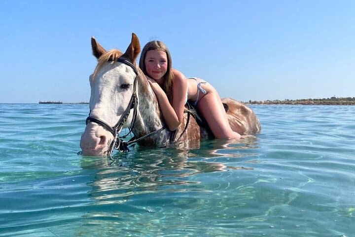Ride and Swim: 3-Hour Horseback Adventure on Hurghada's Red Sea Beaches and Desert photo 2