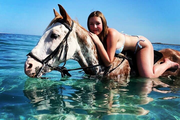 Ride and Swim: 3-Hour Horseback Adventure on Hurghada's Red Sea Beaches and Desert