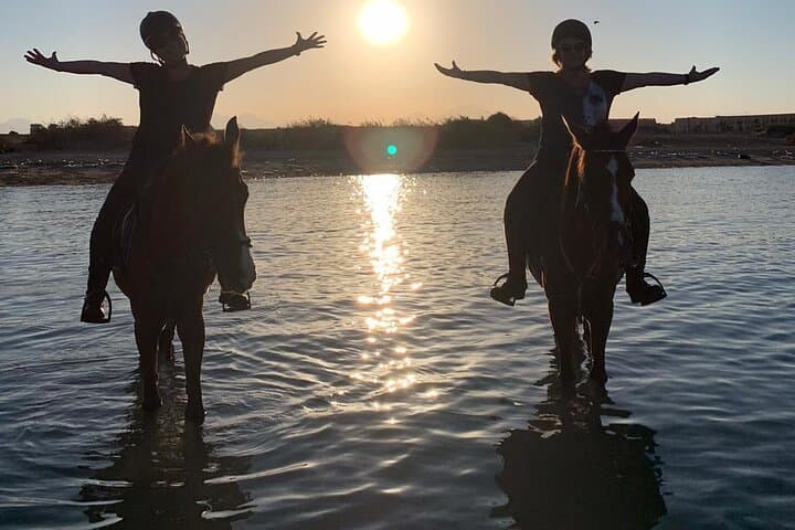 Ride and Swim: 3-Hour Horseback Adventure on Hurghada's Red Sea Beaches and Desert photo 5