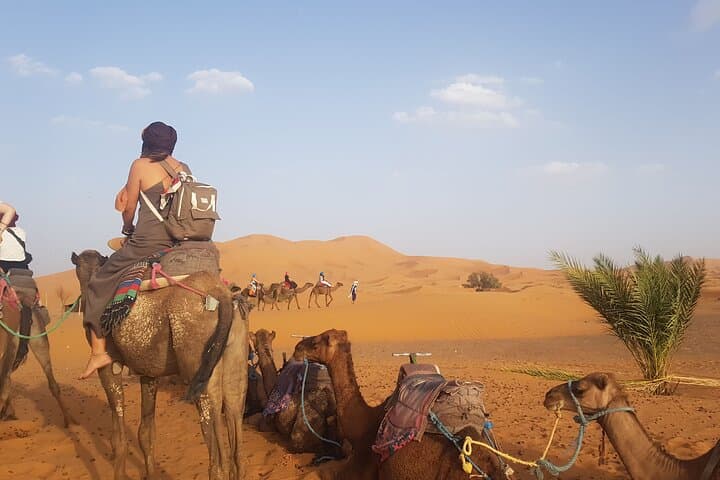 4-Day Sahara Desert Trip from Marrakech: Merzouga Dunes, Dades & Aït Benhaddou photo 2