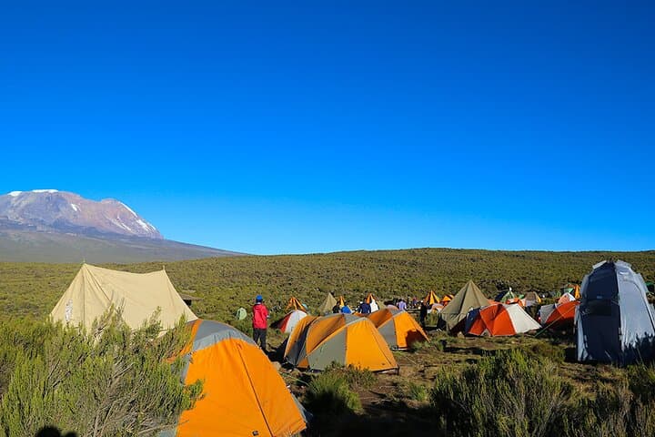 6-Day Private Kilimanjaro Machame Route: Complete Summit Guide photo 2