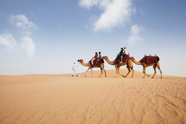 Morning Camel Caravan & Bedouin Breakfast at Al Marmoom Oasis photo 2