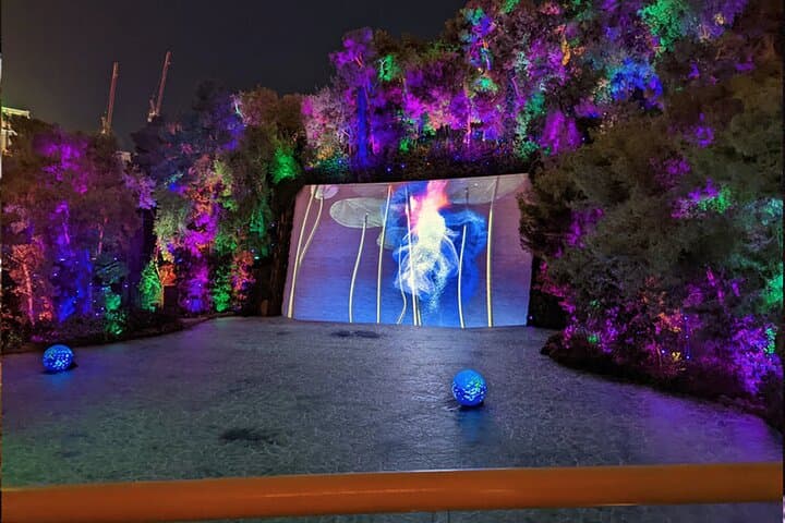 Sip, See, and Spectacle: Night Walking Tour of the Las Vegas Strip photo 5