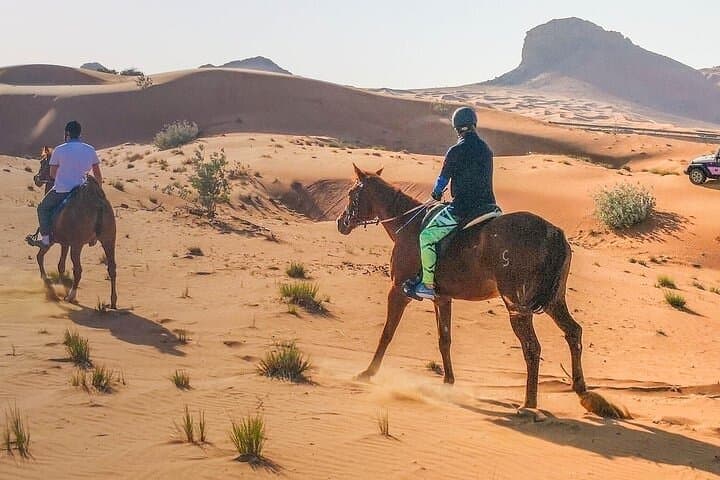 Desert Ride Near Sharm El-Sheikh: 1-Hour Horse & Camel Excursion with Transfer photo 6