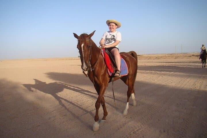 Desert Ride Near Sharm El-Sheikh: 1-Hour Horse & Camel Excursion with Transfer