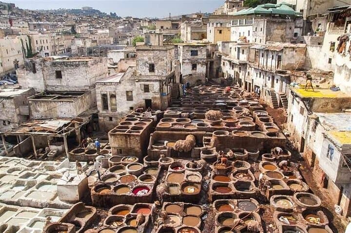 Fez Old Medina Guided Walking Tour: Fez el Bali, Tanneries & Madrasa photo 3