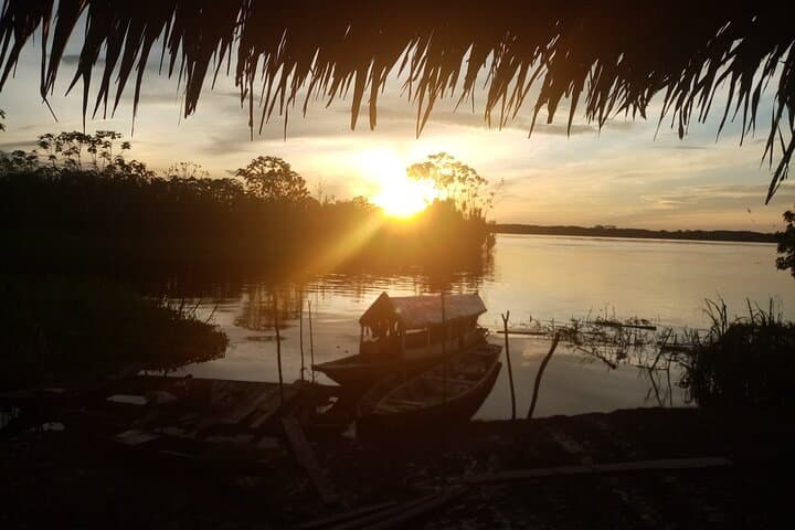 Amazon Medicinal Plant Expedition: 7-Day Healing Immersion from Iquitos photo 5