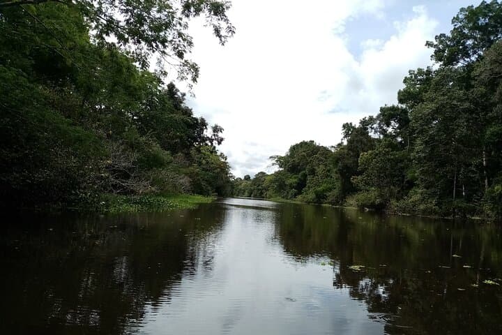 12-Day Extreme Survival Training — Green Wild Amazon Expedition from Iquitos photo 2