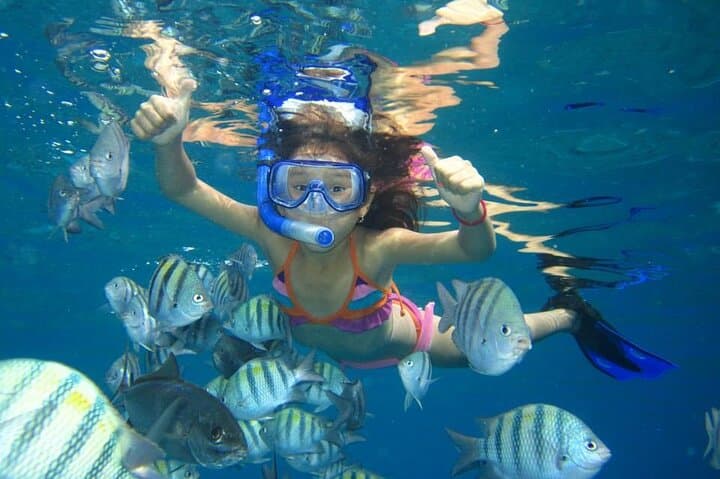 Hurghada Dolphin House Sea Trip: Full-Day Snorkel, Dolphins & Seafood Buffet photo 3