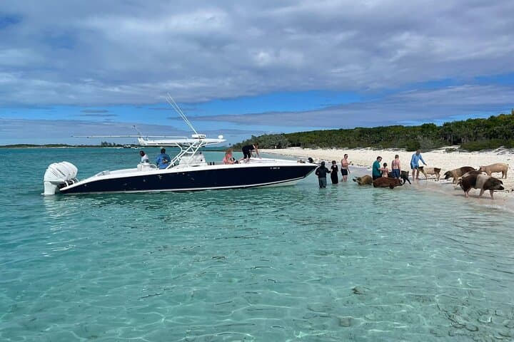 Exuma Day Boat Charters: Swim with Pigs, Turtles & Snorkel Pristine Reefs photo 2