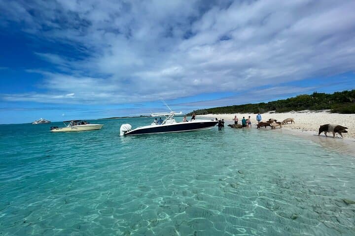 Exuma Day Boat Charters: Swim with Pigs, Turtles & Snorkel Pristine Reefs
