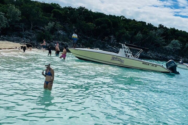 Exuma Day Boat Charters: Swim with Pigs, Turtles & Snorkel Pristine Reefs photo 4