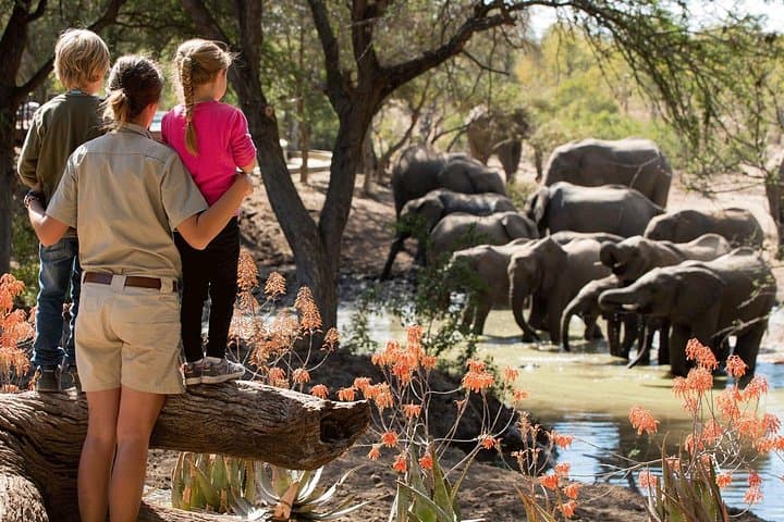 Nyerere (Selous) 3-Day Private Safari: Game Drives, Boat & Walking Safaris photo 1