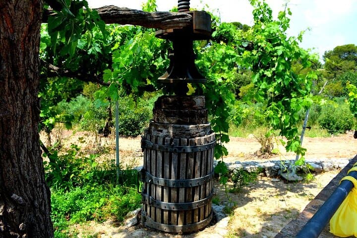 Penedès E-Bike Wine Cellar Tour & Lunch — Private Guided Tasting from Barcelona photo 4