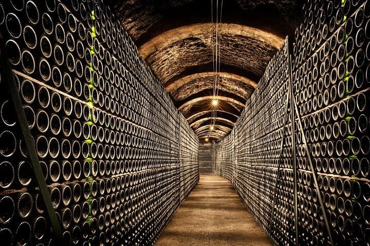 Penedès E-Bike Wine Cellar Tour & Lunch — Private Guided Tasting from Barcelona photo 5