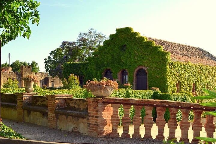 Penedès E-Bike Wine Cellar Tour & Lunch — Private Guided Tasting from Barcelona