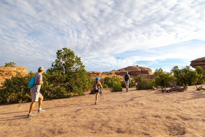 Best of the West: 11-Day National Parks Tour from Las Vegas to San Francisco photo 2