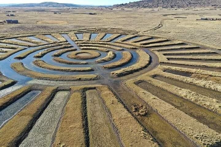 Aymara Route Full-Day Guided Tour from Puno — Chullpas, Waru-Waru & Aramu Muro photo 3