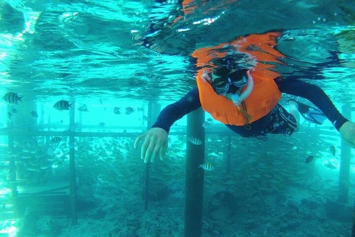 Mactan-Cebu Island Hopping Cruise: Snorkel Hilutungan & Caohagan with BBQ Lunch photo 3