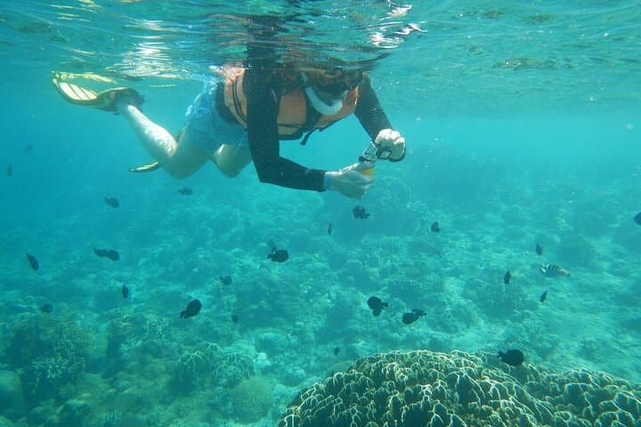 Mactan-Cebu Island Hopping Cruise: Snorkel Hilutungan & Caohagan with BBQ Lunch
