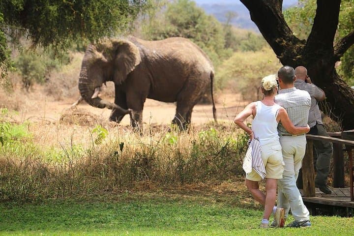 Majestic Elephant Safari: 3-Day Amboseli Wildlife Experience Beneath Kilimanjaro photo 4