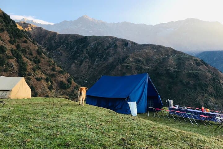 Laka Glacier Trek from McLeodganj: Triund to Laka Got Glacier Overnight Trek photo 4