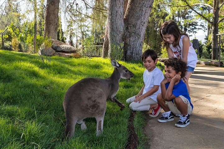 Inside San Diego Zoo Safari Park: One-Day Pass Guide & Practical Tips photo 5
