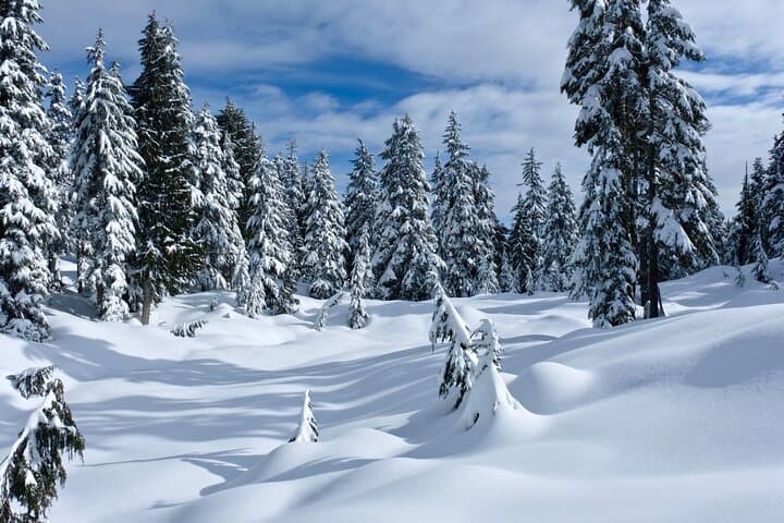 Snowshoeing Vancouver's North Shore: Cypress Mountain Winter Day Trip photo 5
