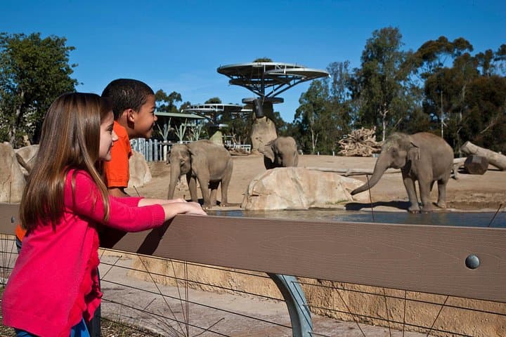 San Diego Zoo One-Day Pass — Explore Wildlife & Botanical Gardens in Balboa Park photo 4