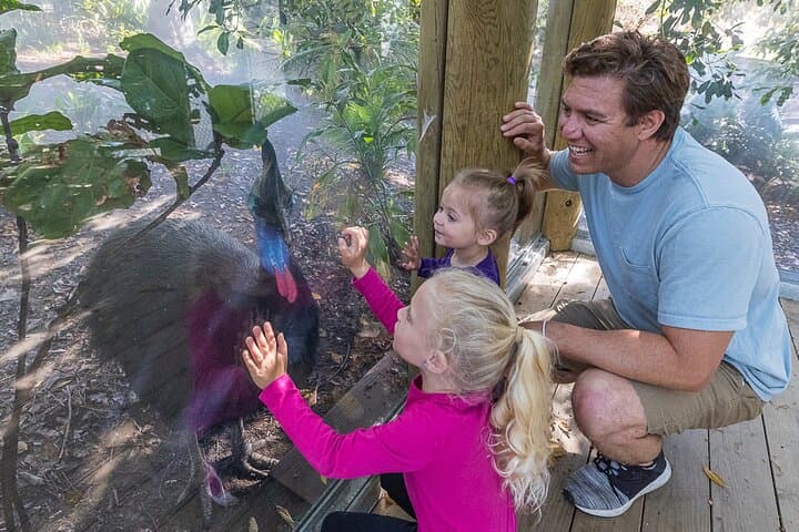 Inside San Diego Zoo Safari Park: One-Day Pass Guide & Practical Tips photo 3