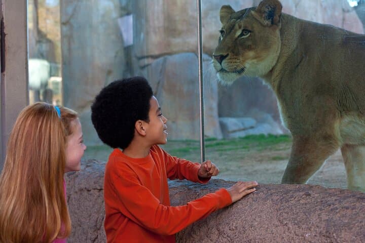 Inside San Diego Zoo Safari Park: One-Day Pass Guide & Practical Tips photo 4