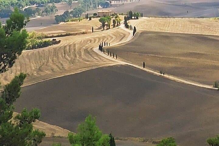 Private Transfer from Assisi to Florence with Stops in Cortona & Montepulciano — Wine Tasting & Hilltowns photo 6