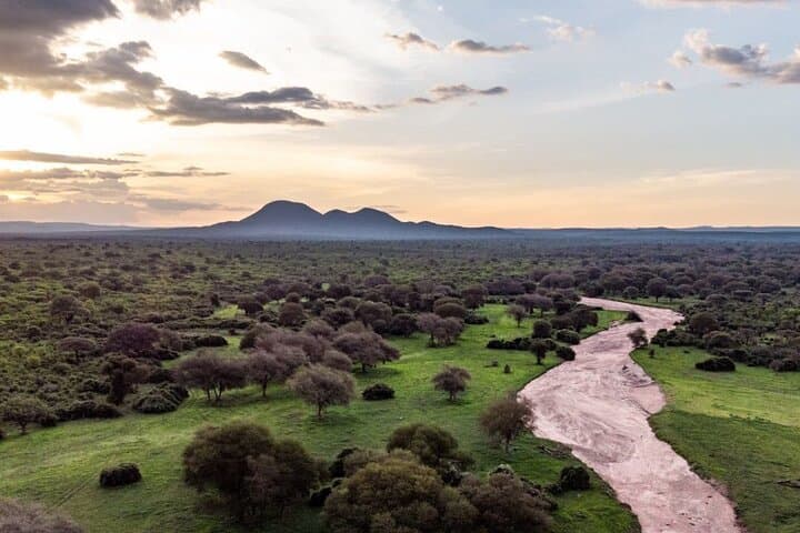 5-Day Selous (Nyerere) & Mikumi Safari — Boat, Walks, Full-Day Game Drives photo 3
