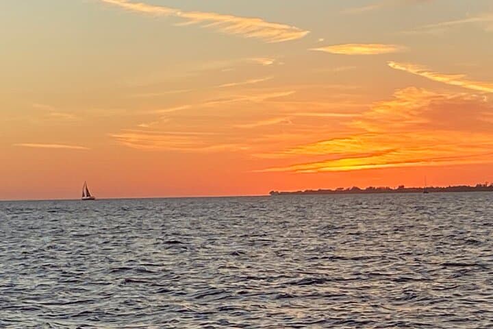 Private 2-Hour Estero Bay Dolphin & Shelling Tour (Fort Myers Beach) photo 2