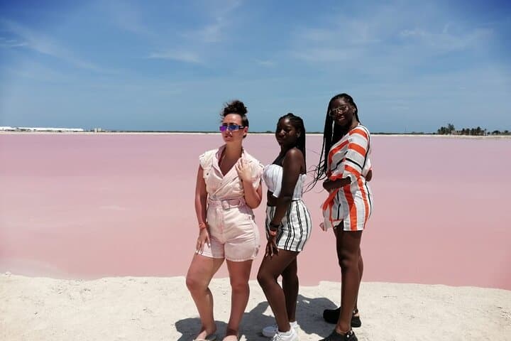 Explore Rio Lagartos & Las Coloradas: Pink Lakes, Flamingos and a Mayan Bath