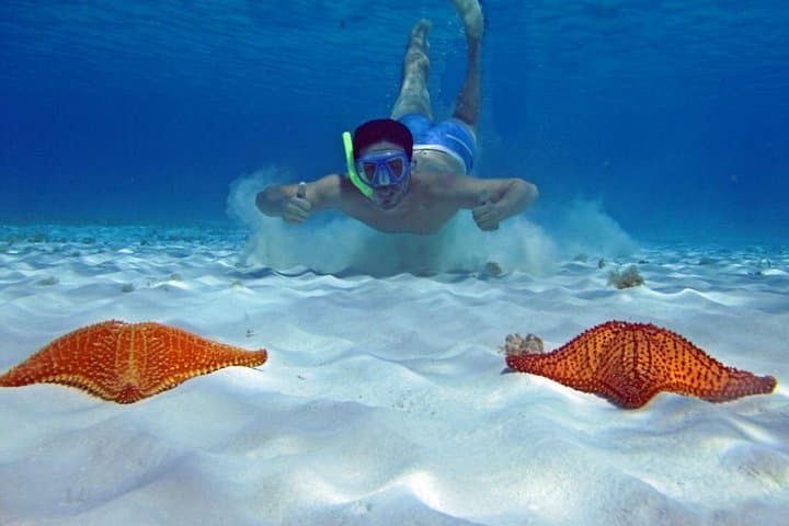 Cozumel Snorkeling to Palancar Reef & El Cielo — Starfish, Stingrays and Coral Gardens photo 2