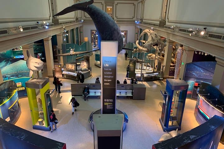 Smithsonian National Museum of Natural History — 2-Hour Guided Tour & Visitor Tips photo 2