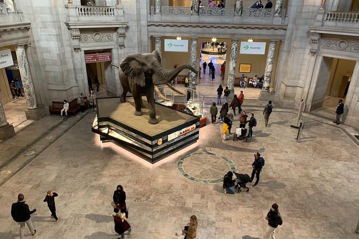 Smithsonian National Museum of Natural History — 2-Hour Guided Tour & Visitor Tips photo 1
