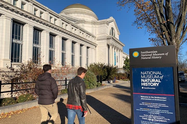 Smithsonian National Museum of Natural History — 2-Hour Guided Tour & Visitor Tips photo 4